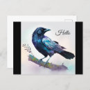 Suche nach rabe postkarten Körperlich