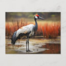 Suche nach lebendes wasser postkarten Für alle