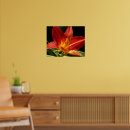 Suche nach taglilien poster Botanisch
