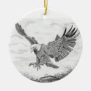 Suche nach eagle ornamente Raubvogel