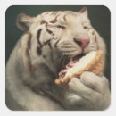 Suche nach weißer tiger aufkleber Jede person