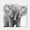 Suche nach afrikanische elefanten magnete Tier