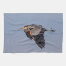 Suche nach flug geschirr tücher Tierwelt