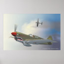 Suche nach p 40 poster Warhawk