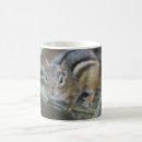 Suche nach chipmunks tassen Tierwelt