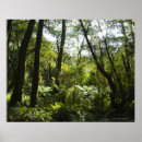 Suche nach tropische bäume poster Natur