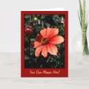 Suche nach orange dahlie karten Jede person