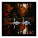 Suche nach weißer schwan poster Für alle