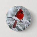 Suche nach roter kardinal buttons Winter