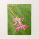 Suche nach lafayette puzzle Jaynes gallery