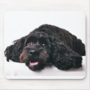 Suche nach schwarzer pudel mousepads Welpe