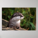 Suche nach otter poster Für sie