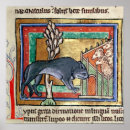 Suche nach wolfe poster Schule