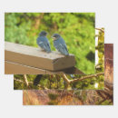 Suche nach schwalben geschenkpapier Für alle