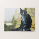 Suche nach katzenartig puzzle Tier