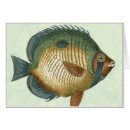 Suche nach bunte fische postkarten Schwimmen