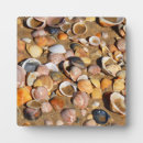 Suche nach segelboot fotoplatten Strand
