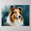 Suche nach rauer poster Collie