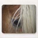 Suche nach pferdeauge Reiten