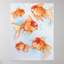 Suche nach goldfische poster Aquarell