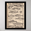 Suche nach salzwasser poster Angler