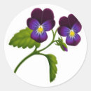 Suche nach der viola aufkleber Panik