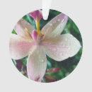 Suche nach kleider ornamente Liebe