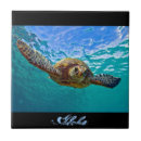 Suche nach honu fliesen Schildkröten