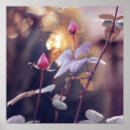 Suche nach weicher hintergrund poster Textur