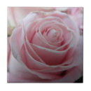 Suche nach niedliche rosen fliesen Jede person