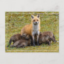 Suche nach krankenpfleger postkarten Für sie