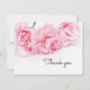 Suche nach carnation karten Rosa