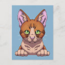 Suche nach katz postkarten Kawaii