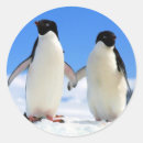 Suche nach pinguin hochzeit aufkleber Liebe