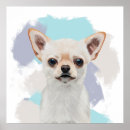 Suche nach niedlicher chihuahua poster Für alle