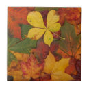 Suche nach änderung fliesen Herbst