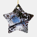 Suche nach baum blätter ornamente Fotografie