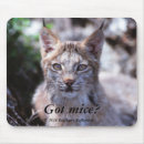 Suche nach luchs mousepads Kätzchen
