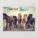 Suche nach wildpferde postkarten Pony