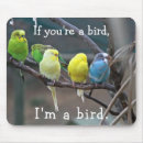 Suche nach parakeet elektronik zubehör Vogel
