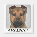 Suche nach super magnete Für alle