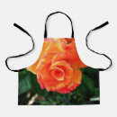 Suche nach orange ros schürzen Blume