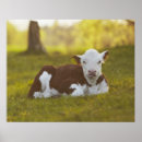 Suche nach stillstehen poster Landschaft