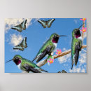 Suche nach zweigen poster Natur
