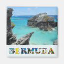 Suche nach bermuda magnete Tropisch