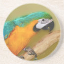 Suche nach papageien untersetzer Vögel