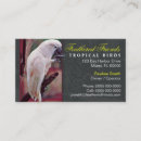 Suche nach vögel visitenkarten Cockatoo