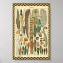 Suche nach vogel strauß poster Jede person