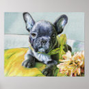 Suche nach bulldoggen poster Französisch