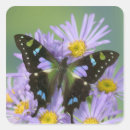 Suche nach tropische schmetterlinge aufkleber Blume